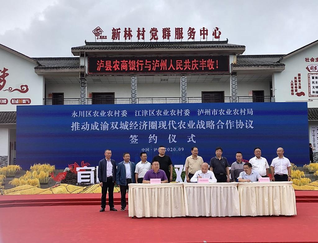 江津区富硒茶(江津富硒茶叶介绍)-硒宝网