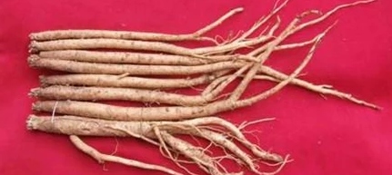 富硒茶那家好(富硒茶文化)-硒宝网