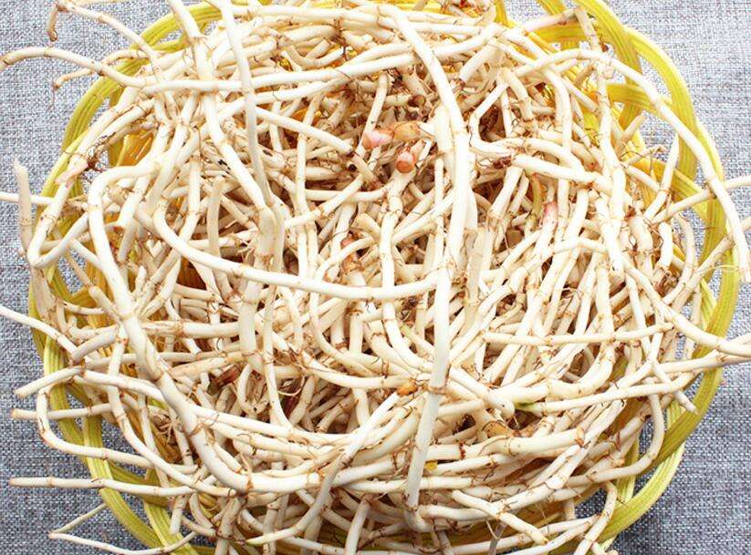 富硒茶那家好(富硒茶文化)-硒宝网