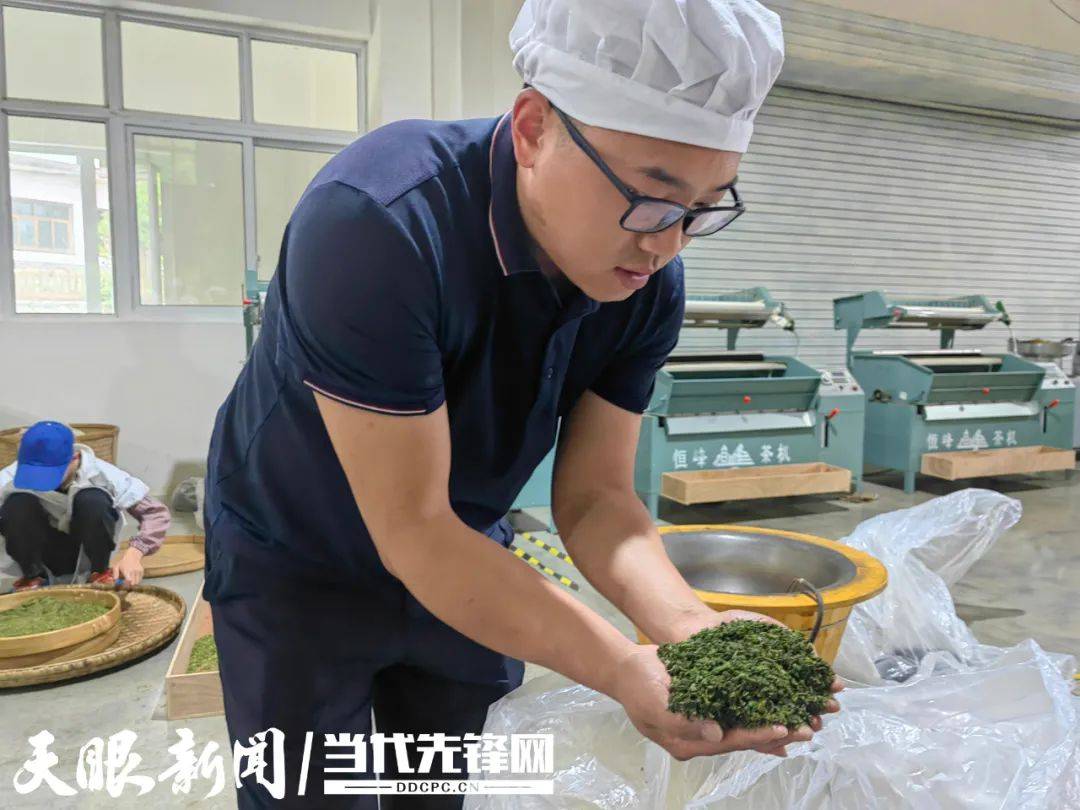 青州富锌硒茶(富锌硒茶叶)-硒宝网
