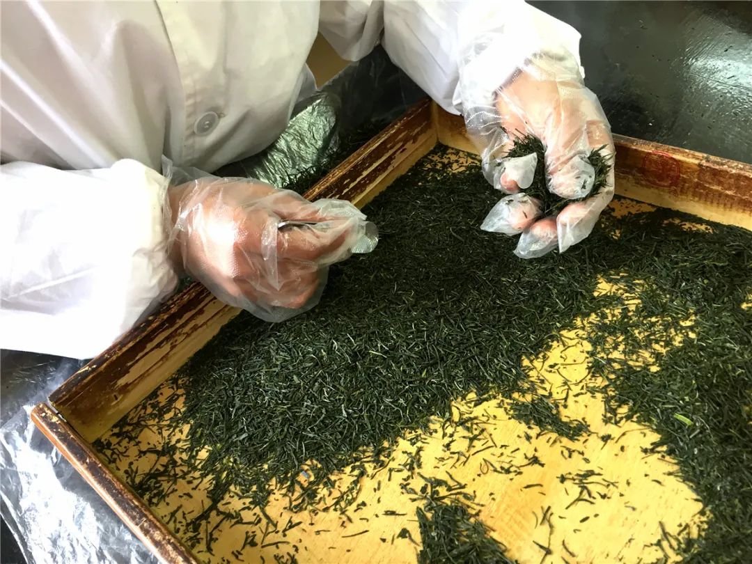 金竹山富硒茶(金竹山野生圆茶)-硒宝网