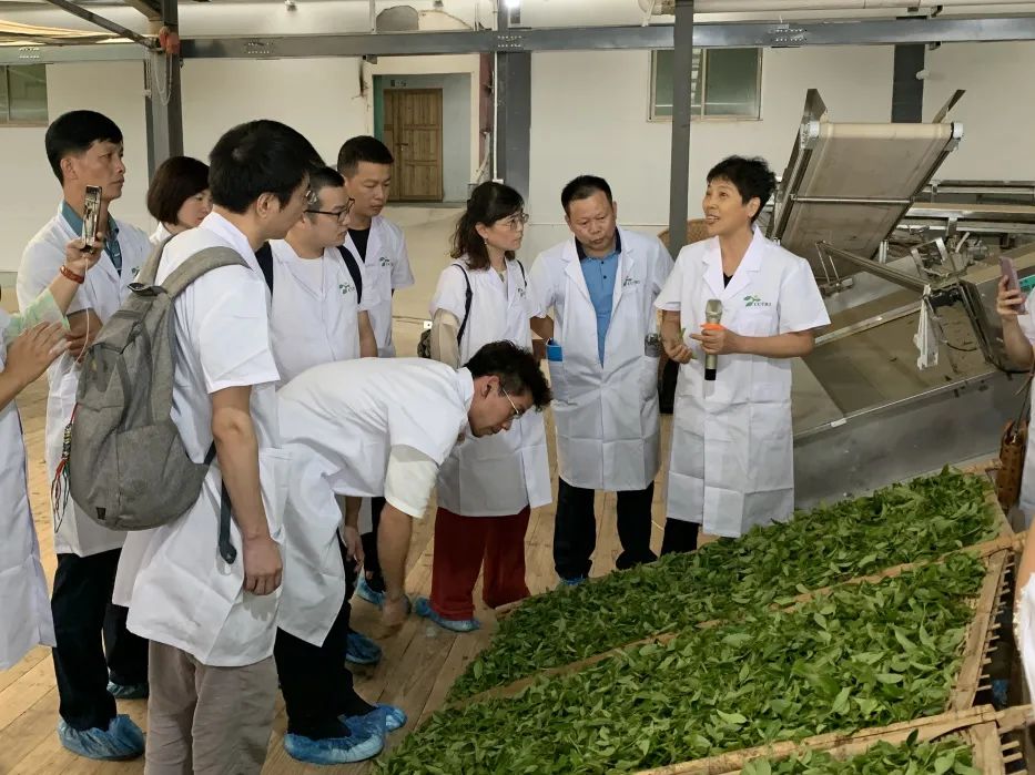 金竹山富硒茶(金竹山野生圆茶)-硒宝网