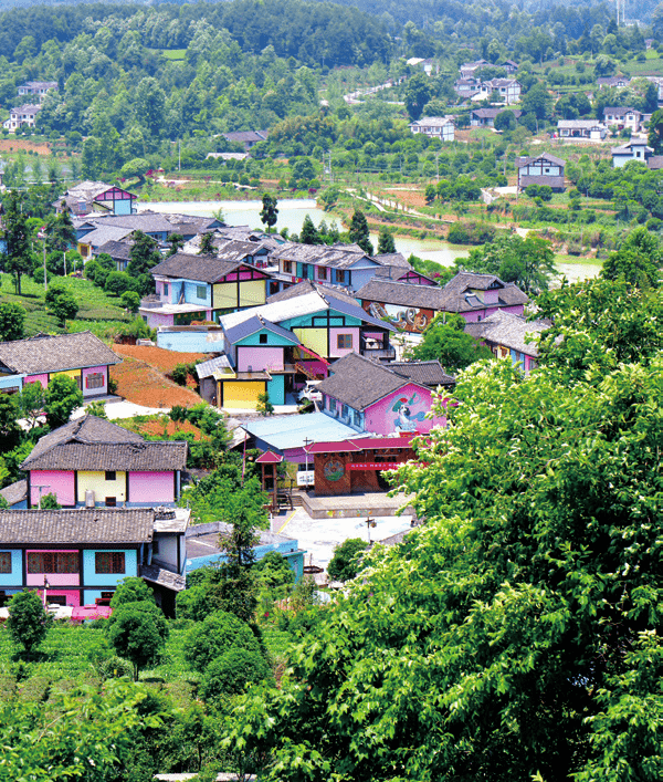 贵州富硒野茶（贵州野茶富硒产地）-硒宝网