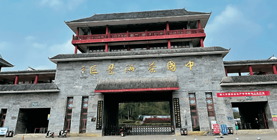 贵州富硒野茶（贵州野茶富硒产地）-硒宝网