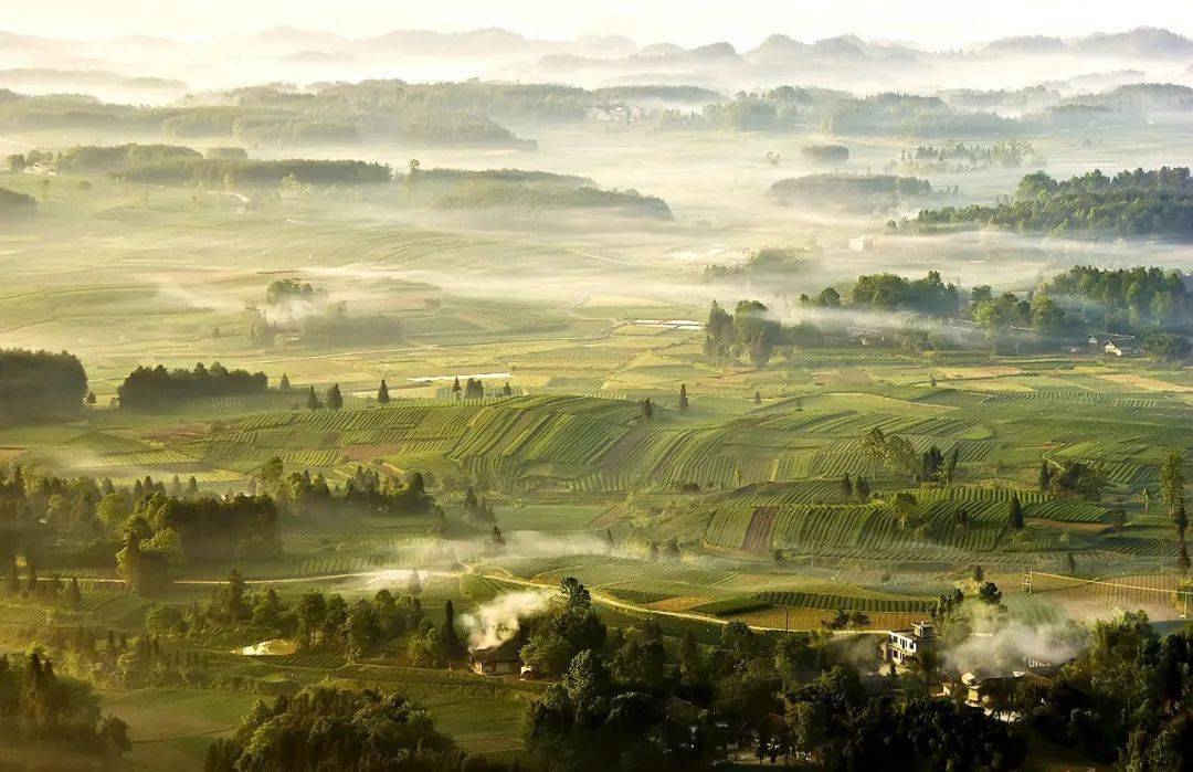 贵州富硒野茶（贵州野茶富硒产地）-硒宝网