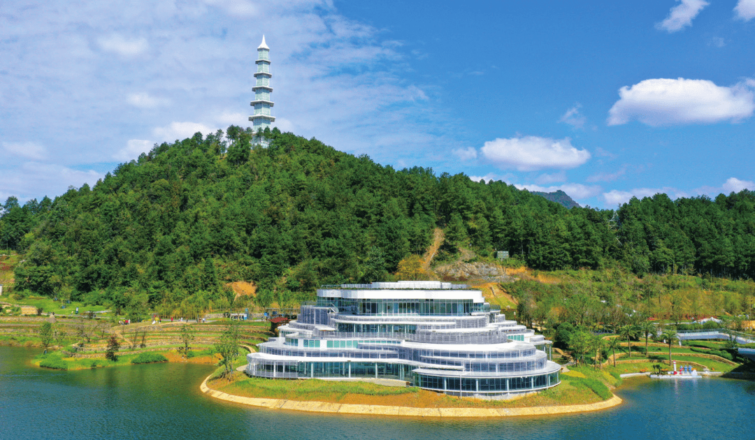 贵州富硒野茶（贵州野茶富硒产地）-硒宝网