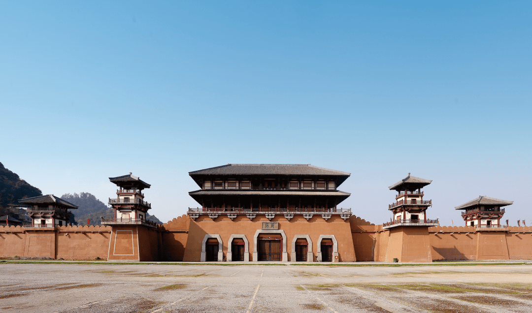 贵州富硒野茶（贵州野茶富硒产地）-硒宝网
