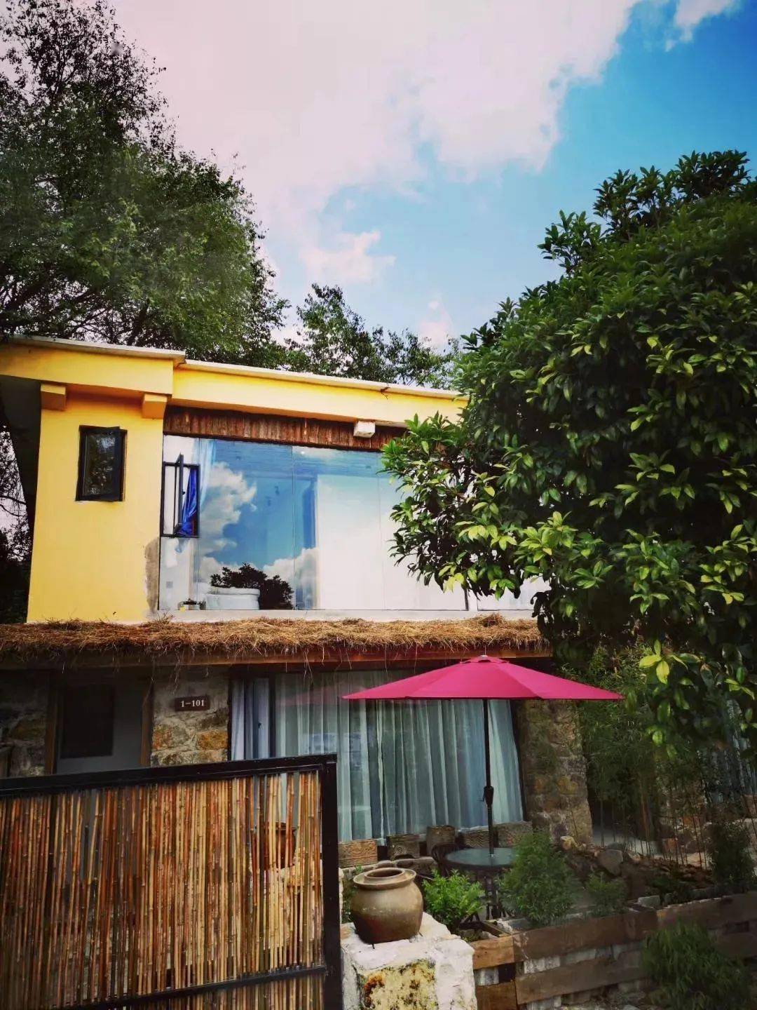 贵州富硒野茶（贵州野茶富硒产地）-硒宝网