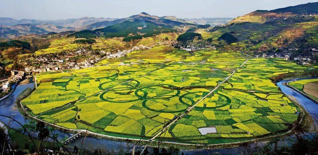 贵州富硒野茶（贵州野茶富硒产地）-硒宝网