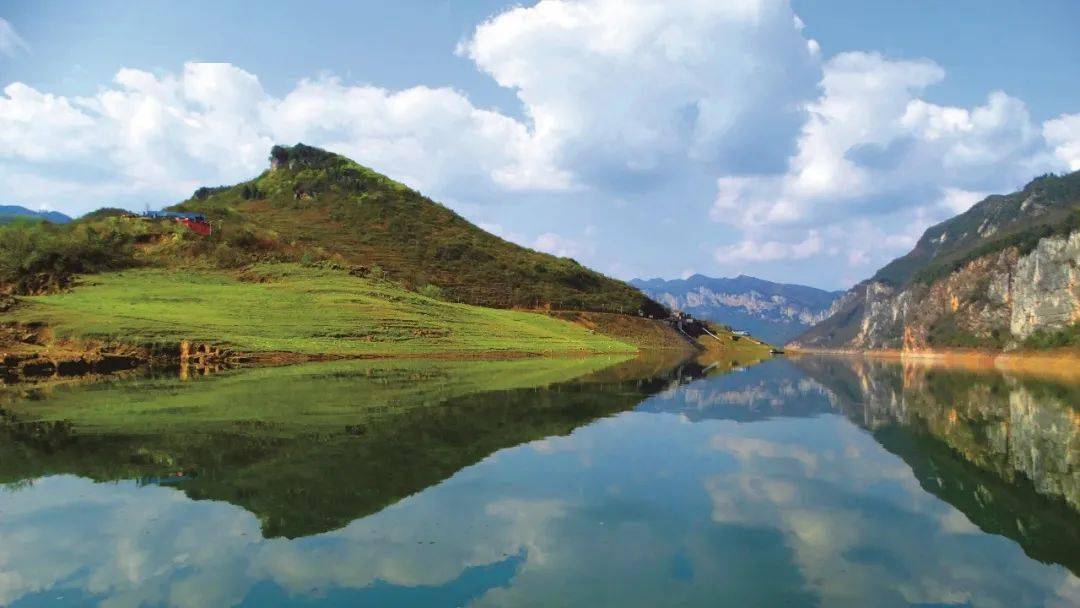 贵州富硒野茶（贵州野茶富硒产地）-硒宝网