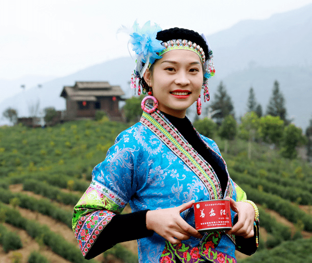贵州富硒野茶（贵州野茶富硒产地）-硒宝网