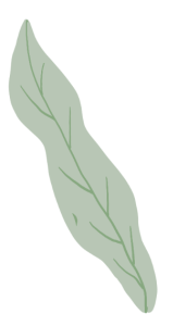 贵州富硒野茶（贵州野茶富硒产地）-硒宝网