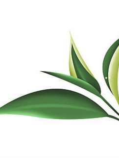 富硒野山藤茶(富硒藤茶的冲泡方法)-硒宝网