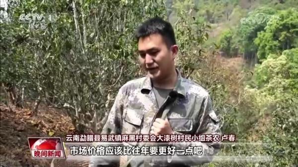 巴东的富硒茶(巴东富硒茶怎么样)-硒宝网