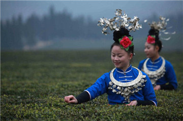 富硒茶推介词(富硒茶广告词)-硒宝网