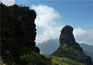 富硒茶推介词(富硒茶广告词)-硒宝网