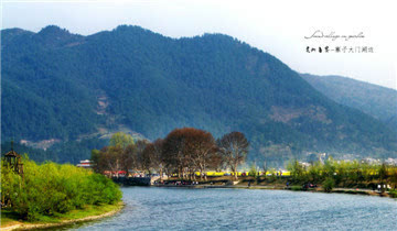 富硒茶推介词(富硒茶广告词)-硒宝网