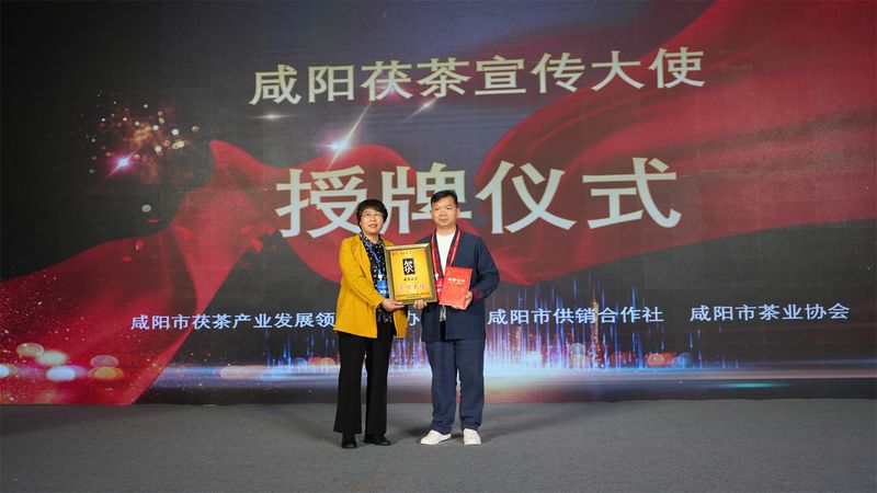 陕西茯茶富硒(陕西富硒茶多少钱一斤)-硒宝网