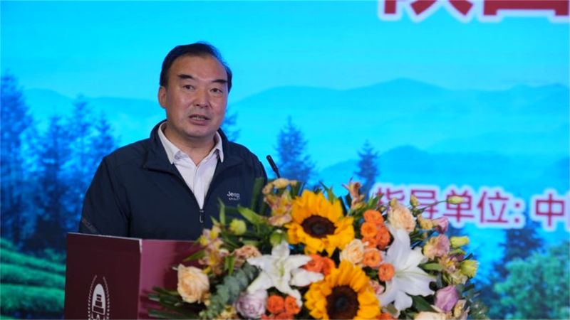 陕西茯茶富硒(陕西富硒茶多少钱一斤)-硒宝网