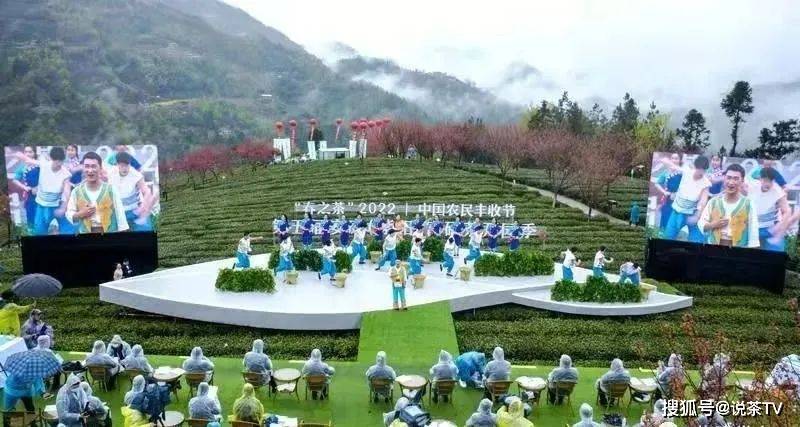 卖紫阳富硒茶(紫阳富硒茶的竞争对手)-硒宝网