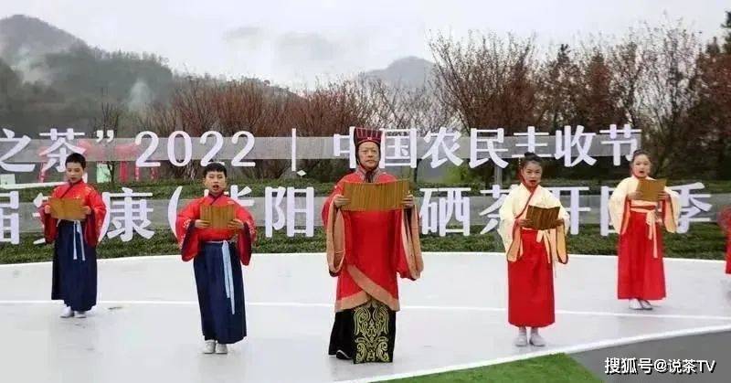 卖紫阳富硒茶(紫阳富硒茶的竞争对手)-硒宝网