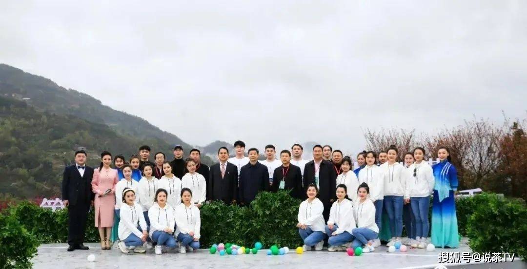 卖紫阳富硒茶(紫阳富硒茶的竞争对手)-硒宝网