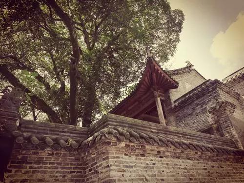 阿紫阳富硒茶（紫阳富硒茶叶）-硒宝网