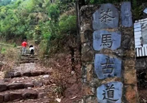 阿紫阳富硒茶（紫阳富硒茶叶）-硒宝网