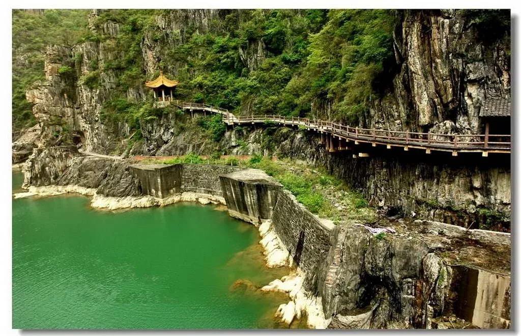 阿紫阳富硒茶（紫阳富硒茶叶）-硒宝网