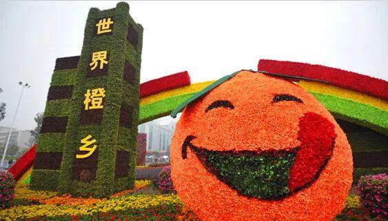 安溪山富硒茶（罗溪高山富硒茶）-硒宝网