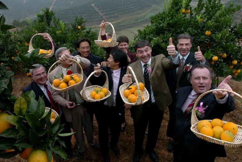 安溪山富硒茶（罗溪高山富硒茶）-硒宝网