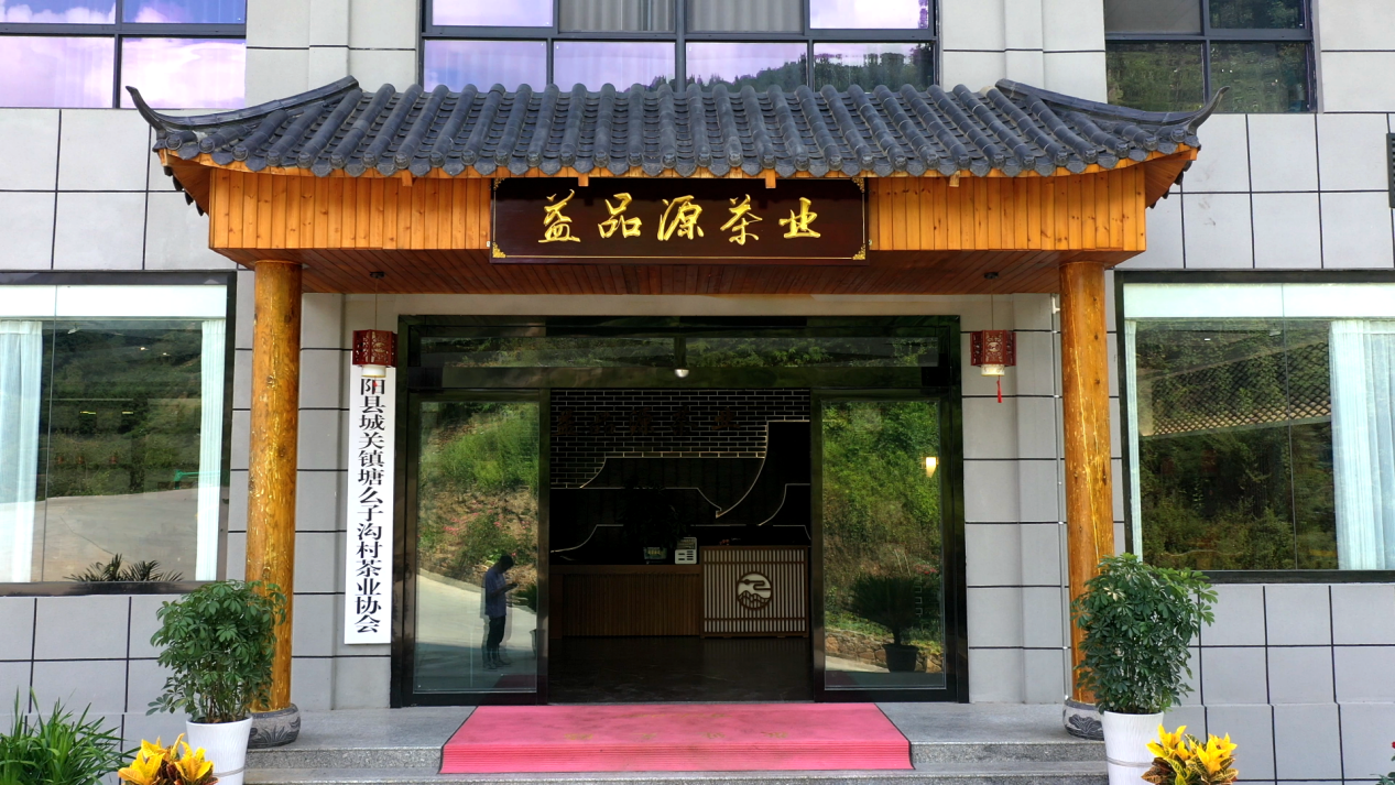 阿紫阳富硒茶(紫阳富硒茶多少钱一斤)-硒宝网