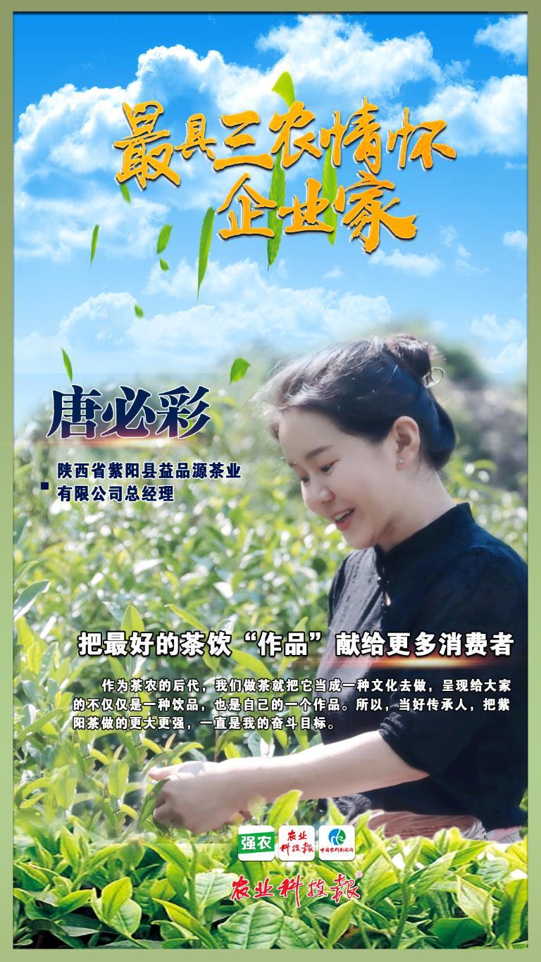 阿紫阳富硒茶(紫阳富硒茶多少钱一斤)-硒宝网