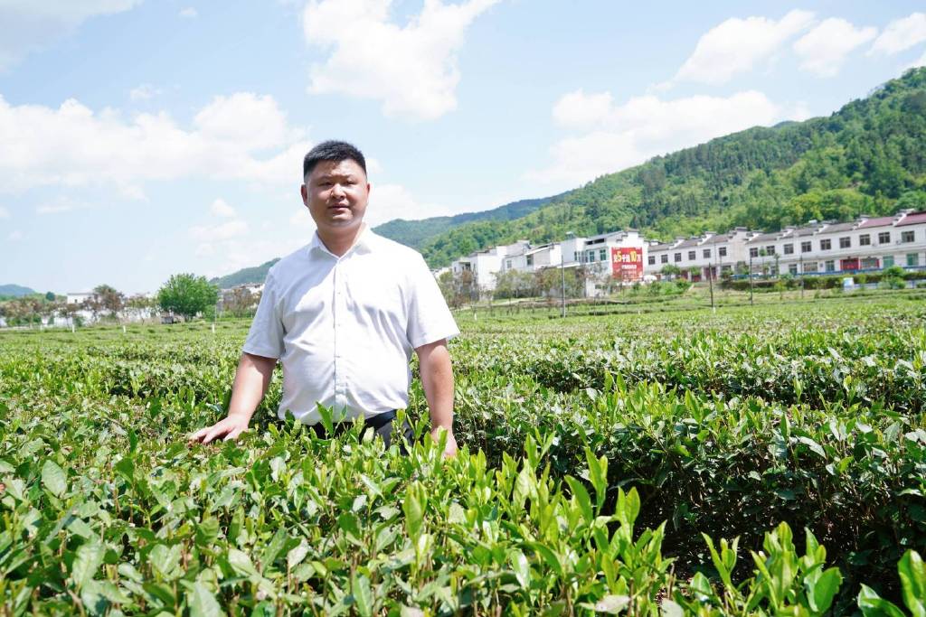 平利富硒黑茶（富硒黑茶是传销吗）-硒宝网