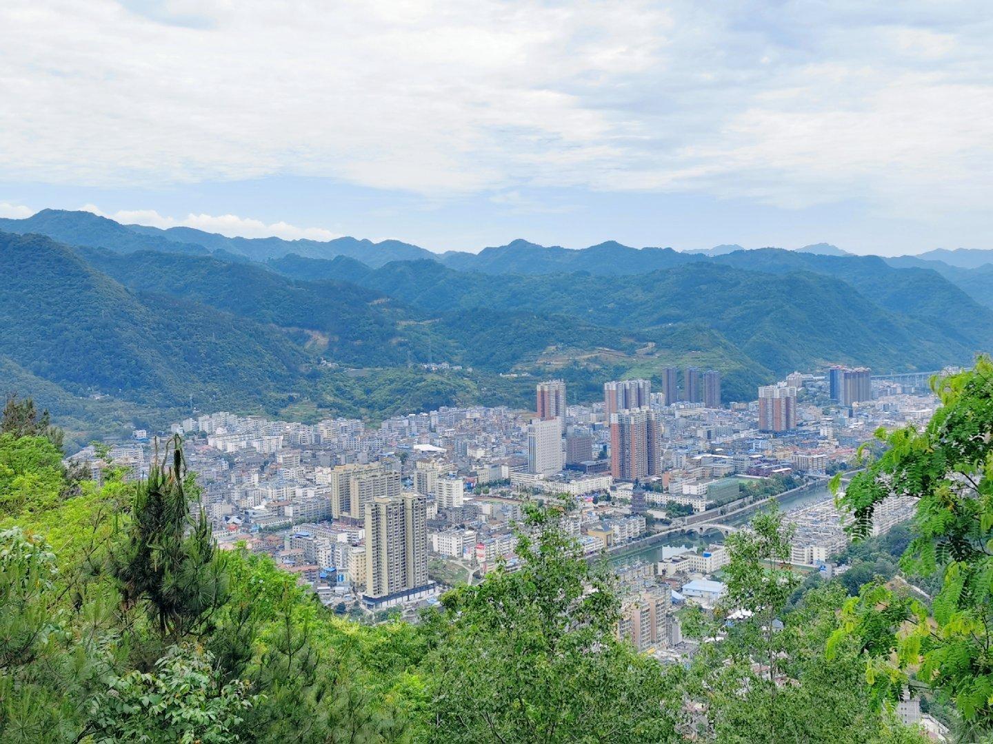 平利富硒黑茶（富硒黑茶是传销吗）-硒宝网