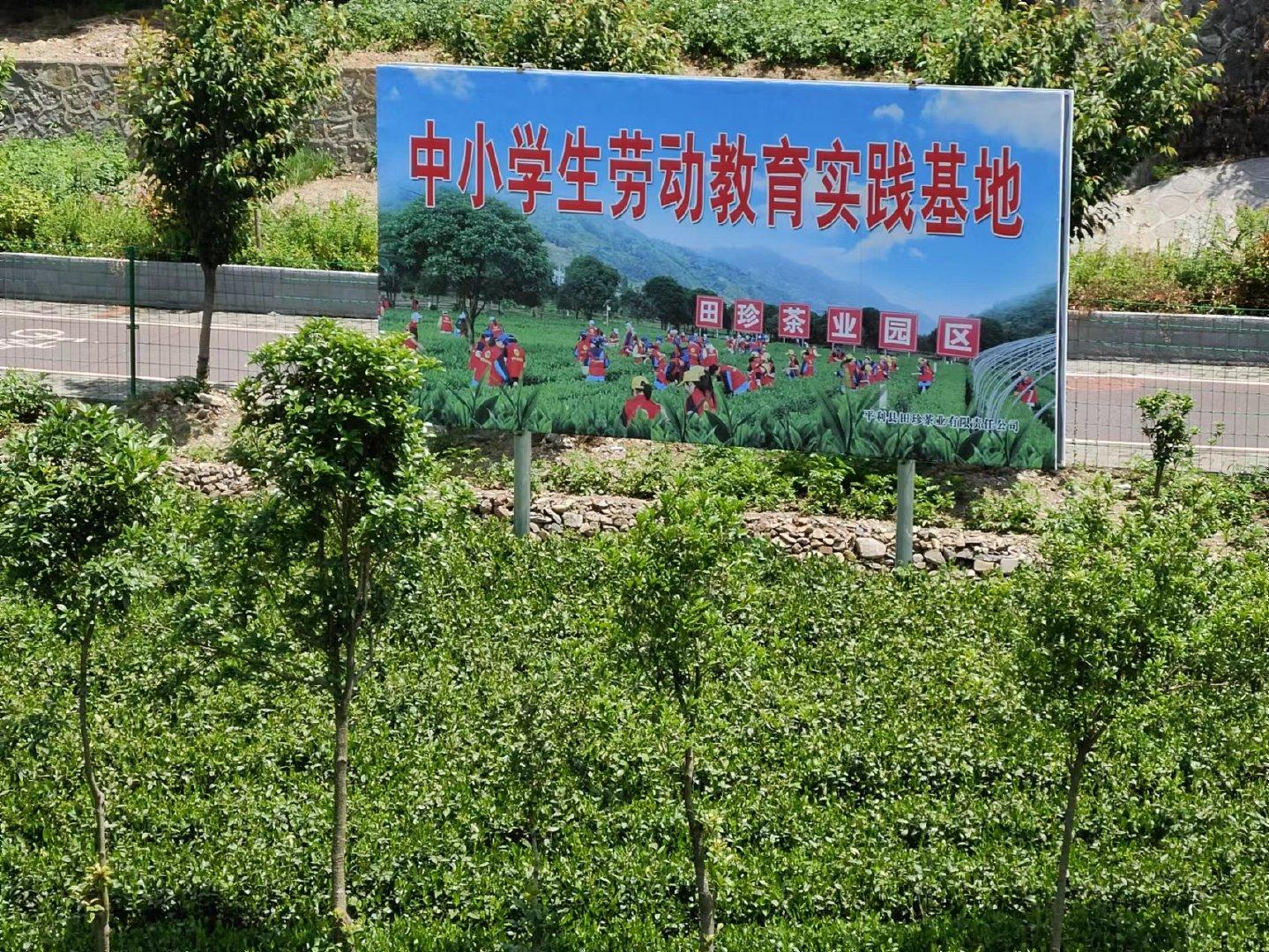 平利富硒黑茶（富硒黑茶是传销吗）-硒宝网