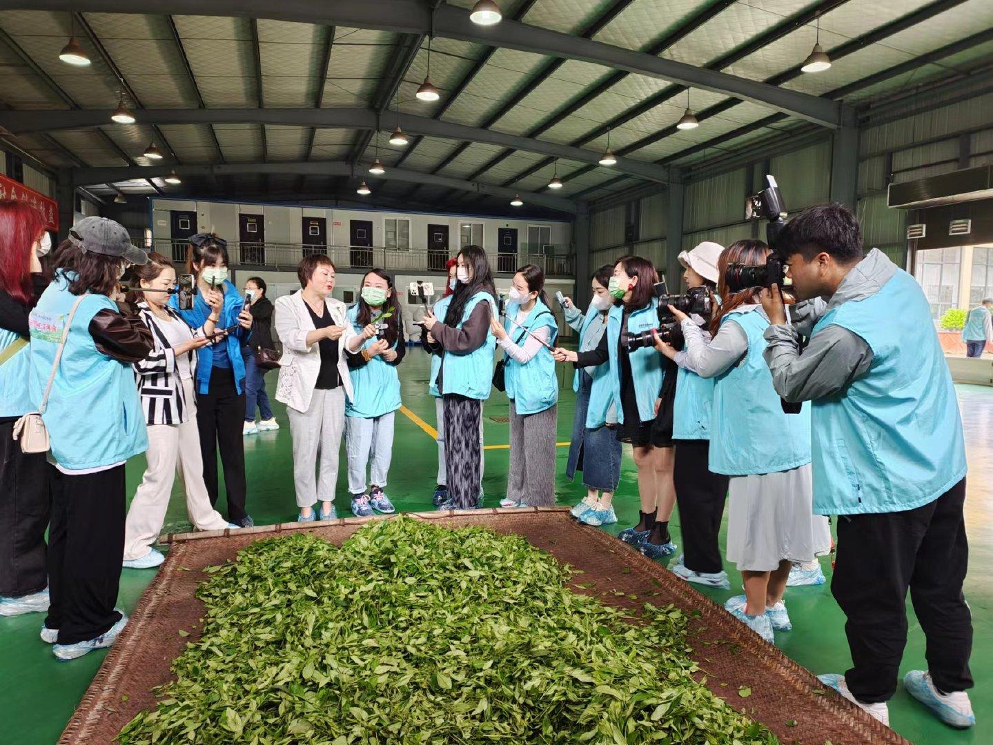 平利富硒黑茶（富硒黑茶是传销吗）-硒宝网