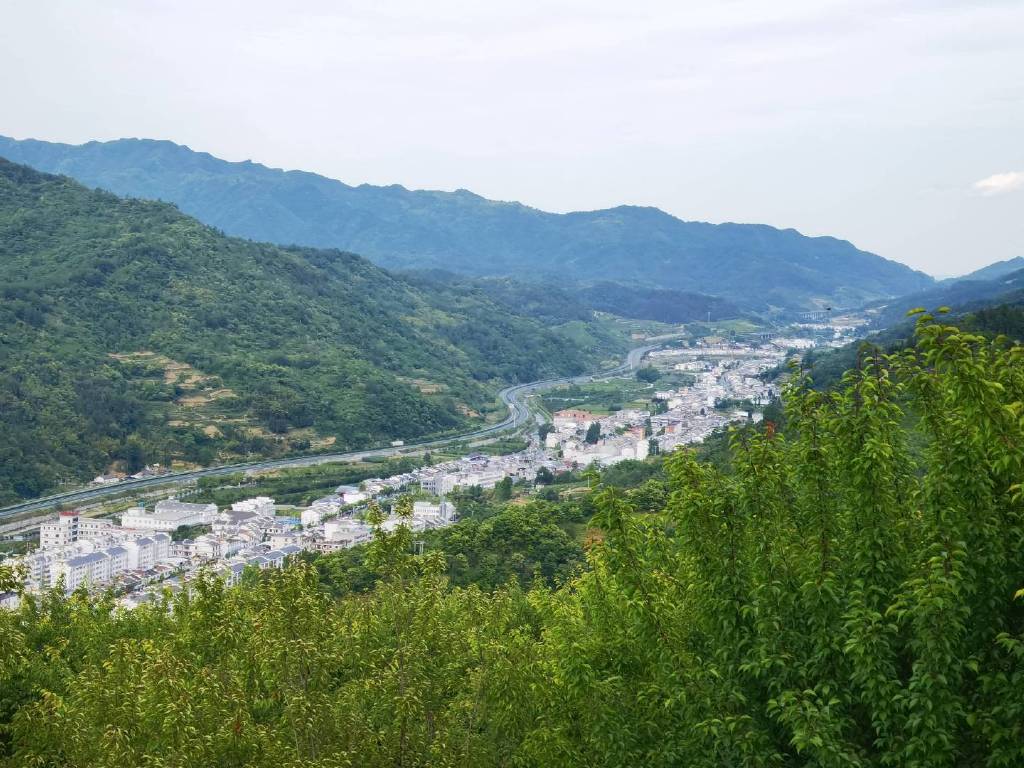 平利富硒黑茶（富硒黑茶是传销吗）-硒宝网