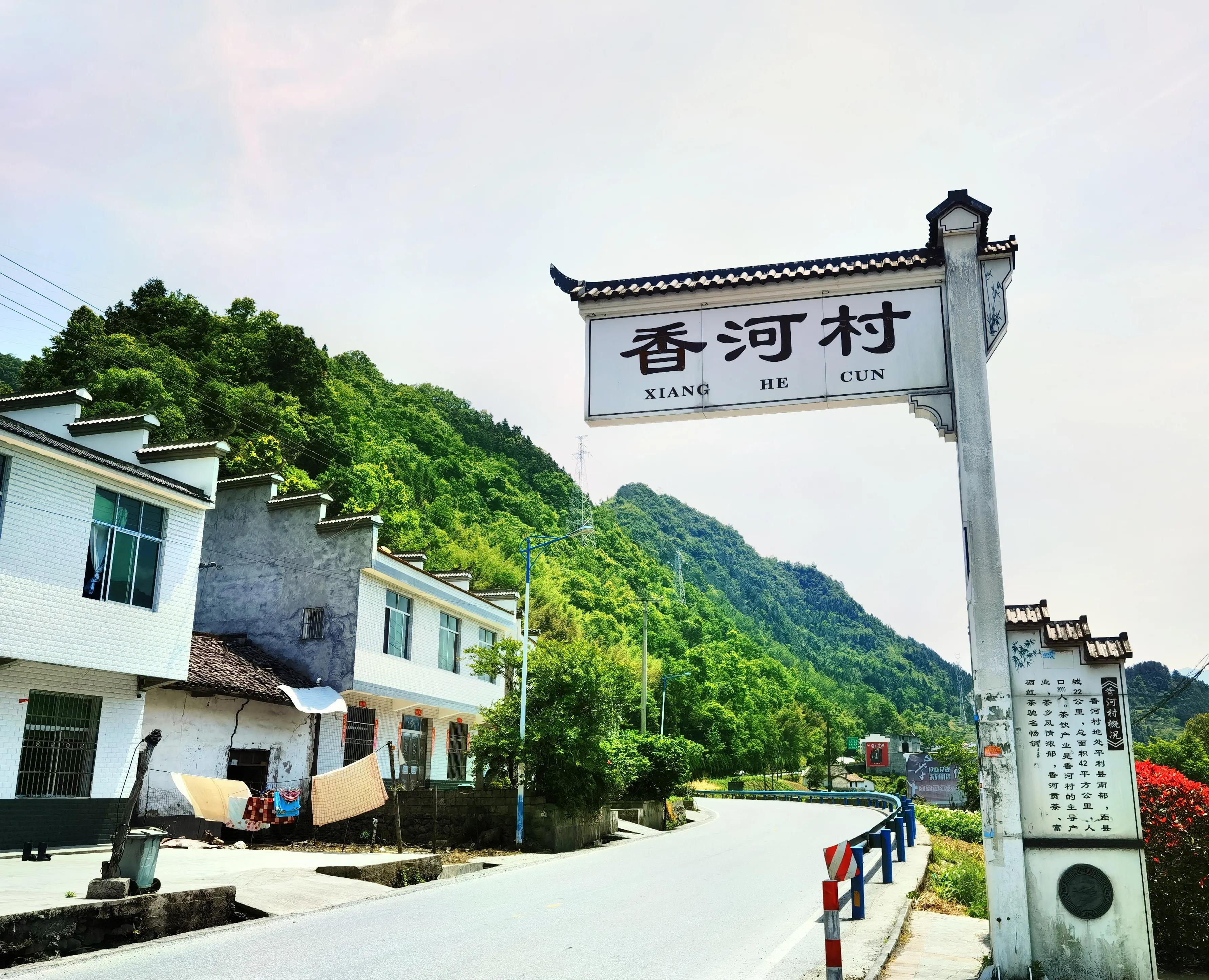 平利富硒黑茶(黑茶硒含量多少)-硒宝网