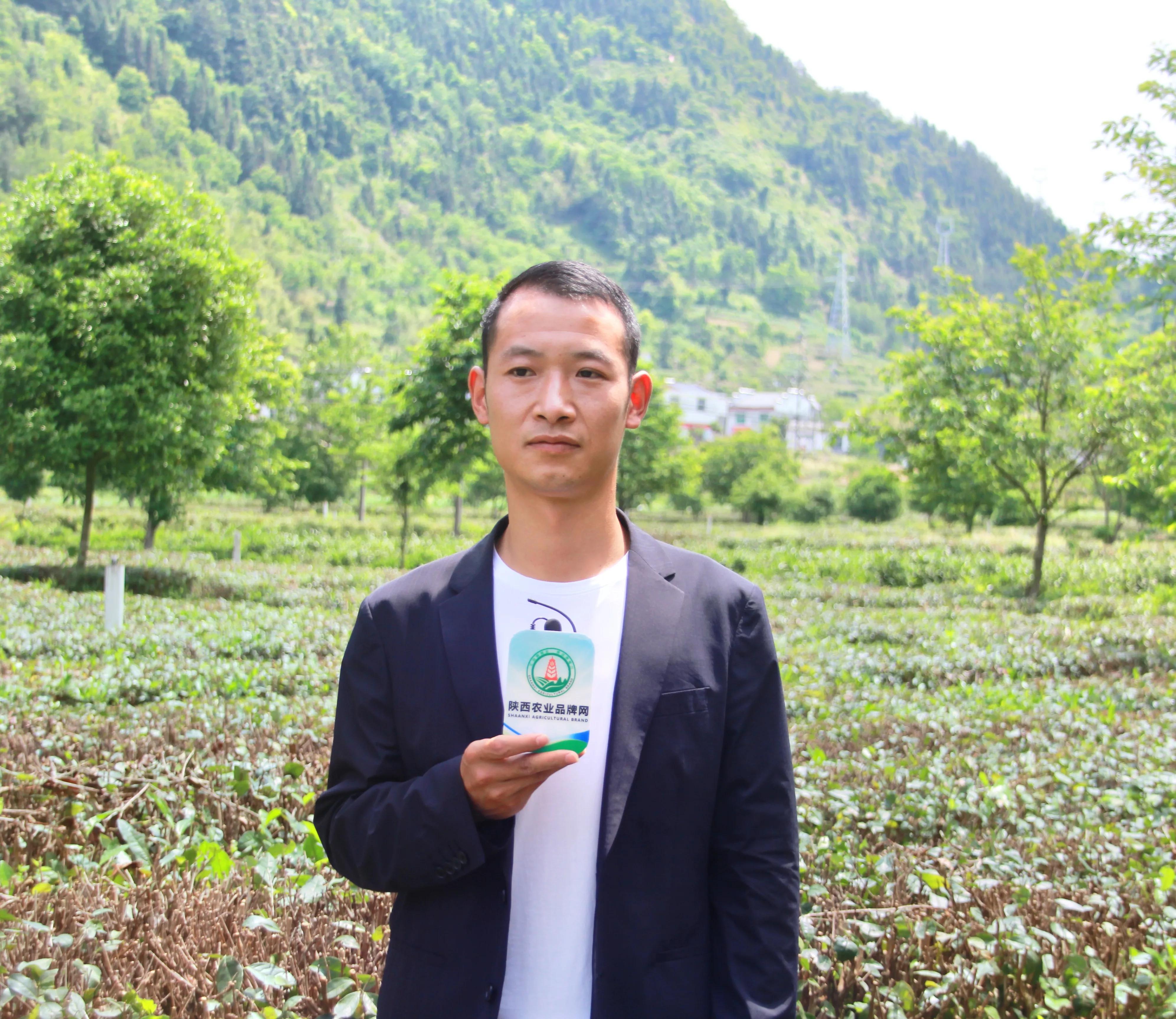 平利富硒黑茶(黑茶硒含量多少)-硒宝网