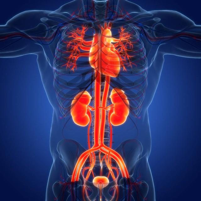 喝富硒茶出汗(出汗多喝茶叶茶有用吗)-硒宝网