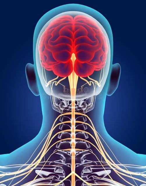 喝富硒茶出汗(出汗多喝茶叶茶有用吗)-硒宝网