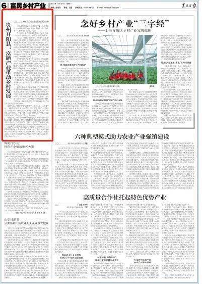 开阳市富硒茶(开阳富硒茶t6体验店)-硒宝网