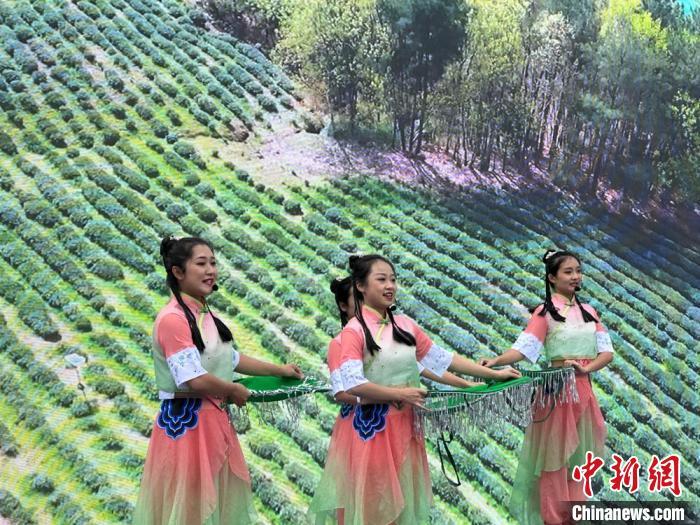 阿紫阳富硒茶(紫阳富硒茶文化)-硒宝网