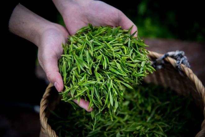 巴东红富硒茶（恩施巴东红茶）-硒宝网