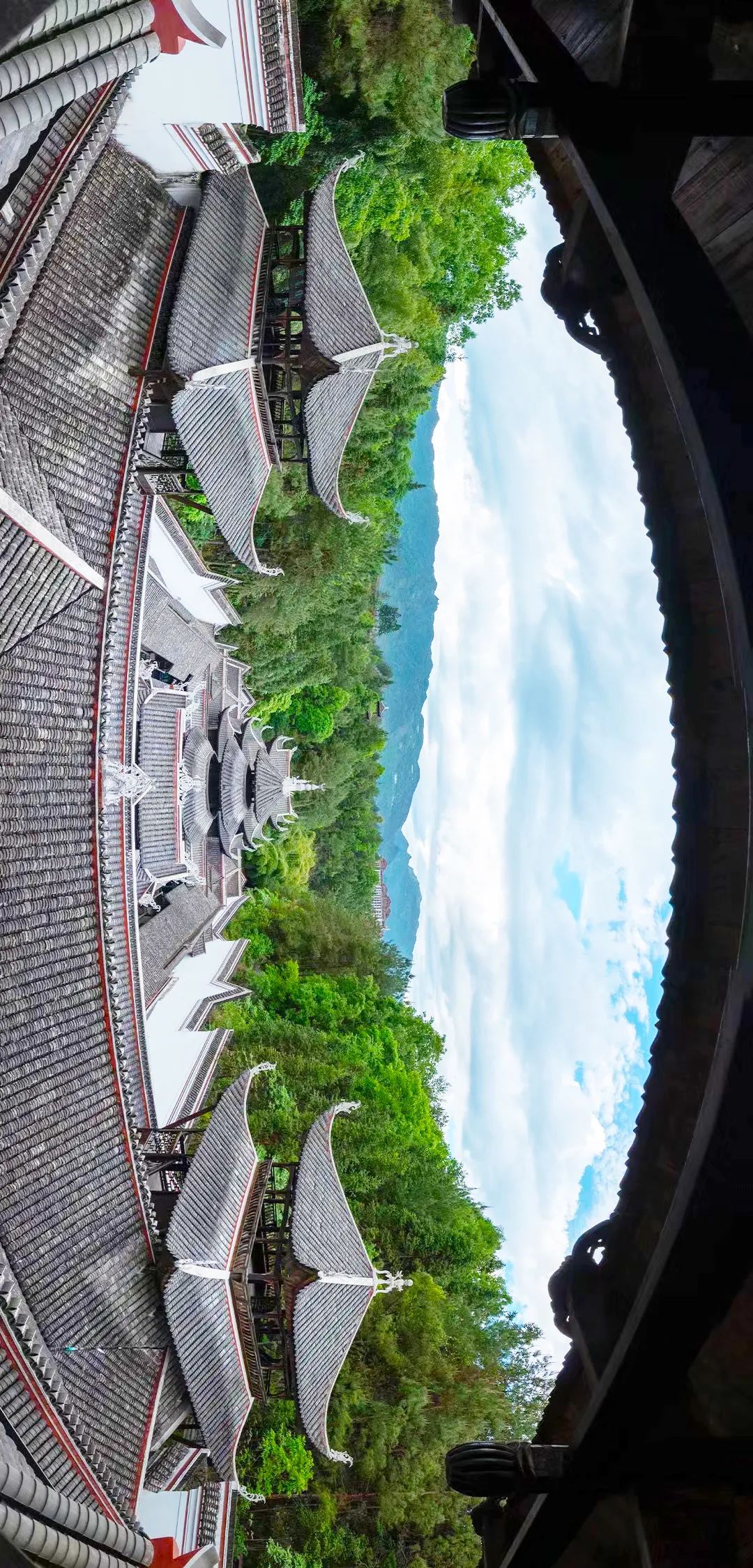 恩施富硒茶鉴(恩施富硒茶口感如何)-硒宝网