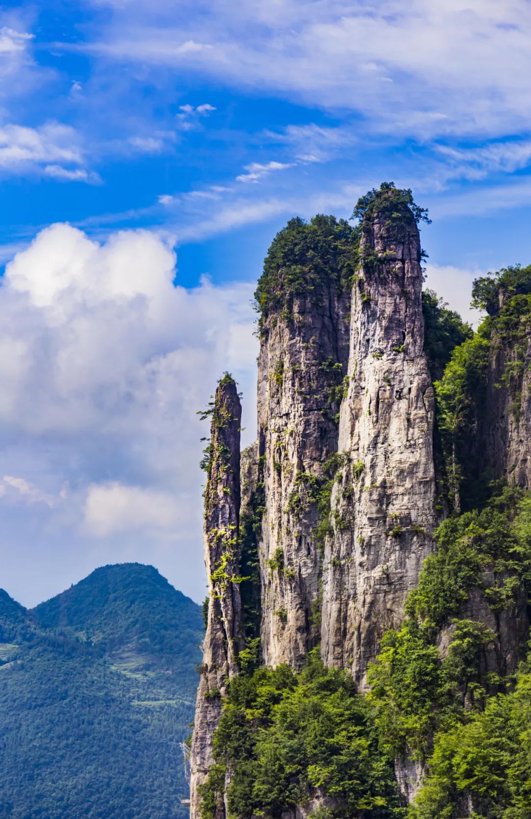 恩施富硒茶鉴(恩施富硒茶口感如何)-硒宝网