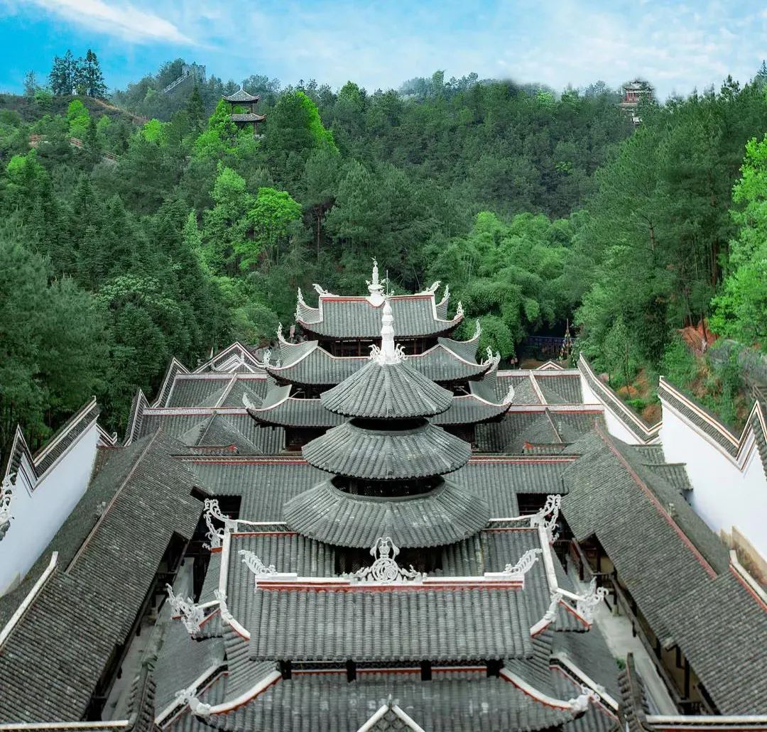 恩施富硒茶鉴(恩施富硒茶口感如何)-硒宝网