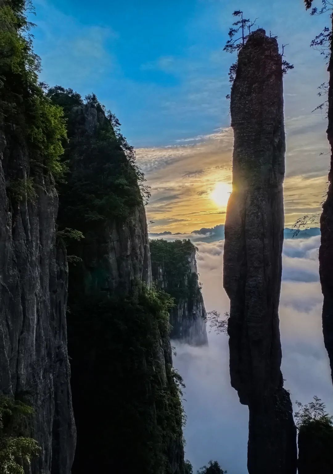 恩施富硒茶鉴(恩施富硒茶口感如何)-硒宝网