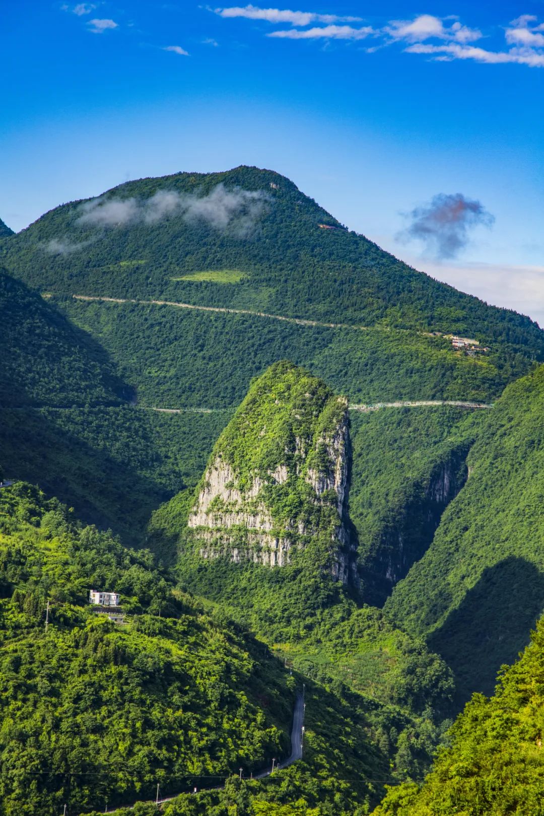 恩施富硒茶鉴(恩施富硒茶口感如何)-硒宝网